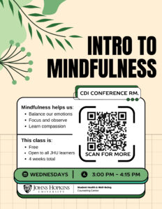 flyer for the Mindfulness Workshop 2024