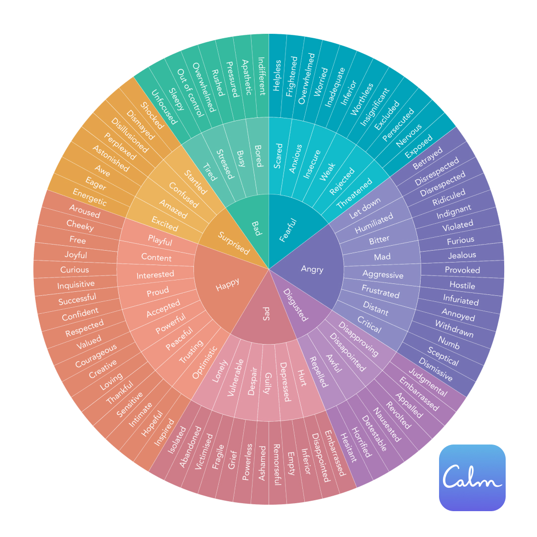 A multicolored wheel with adjectives that describe feelings